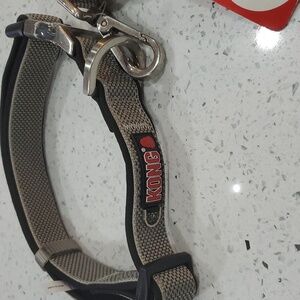 Kong Collar and Leash set